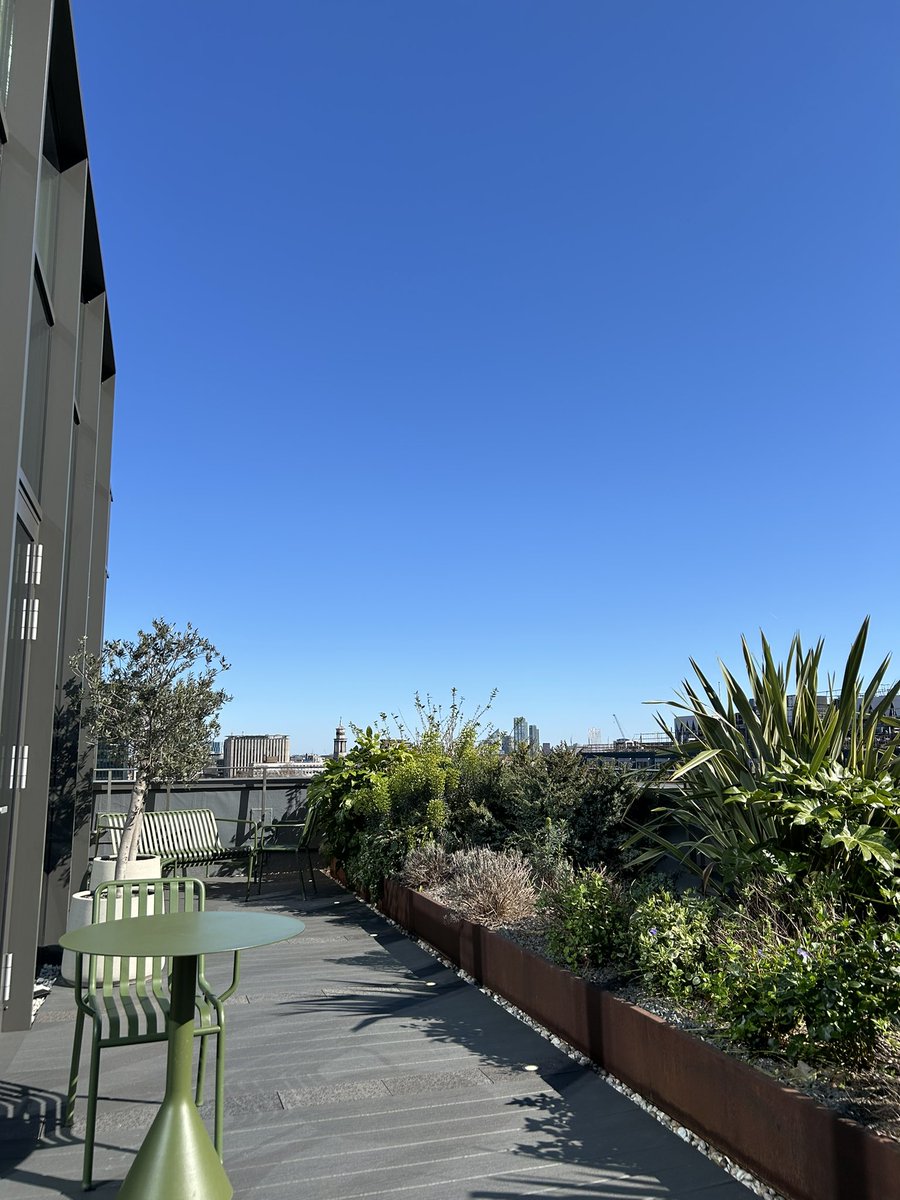 Katarina Ore tweet media