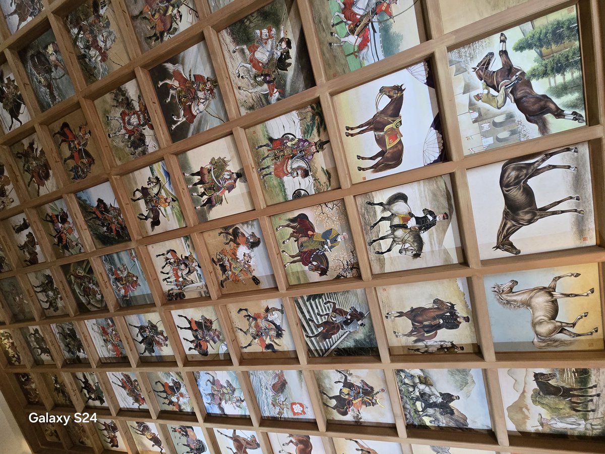 まゆっしー tweet media