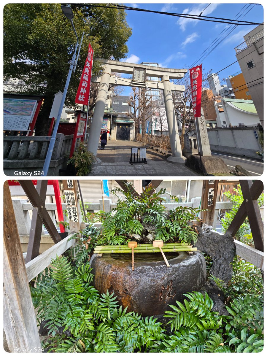 まゆっしー tweet media