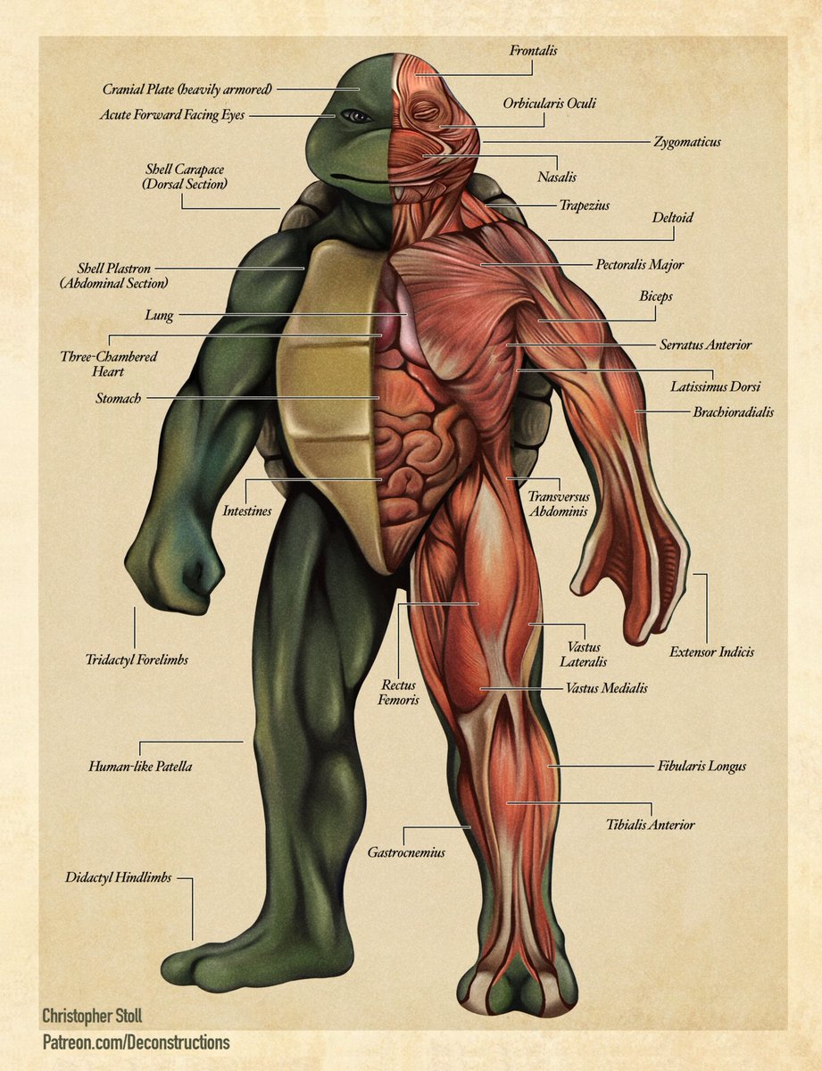 Christopher Stoll - Off to a Rough Art tweet media