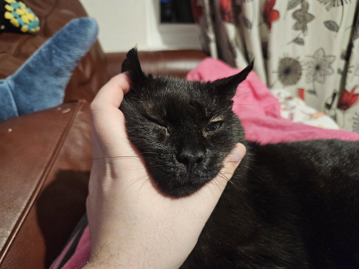 Angel Annie. tweet media