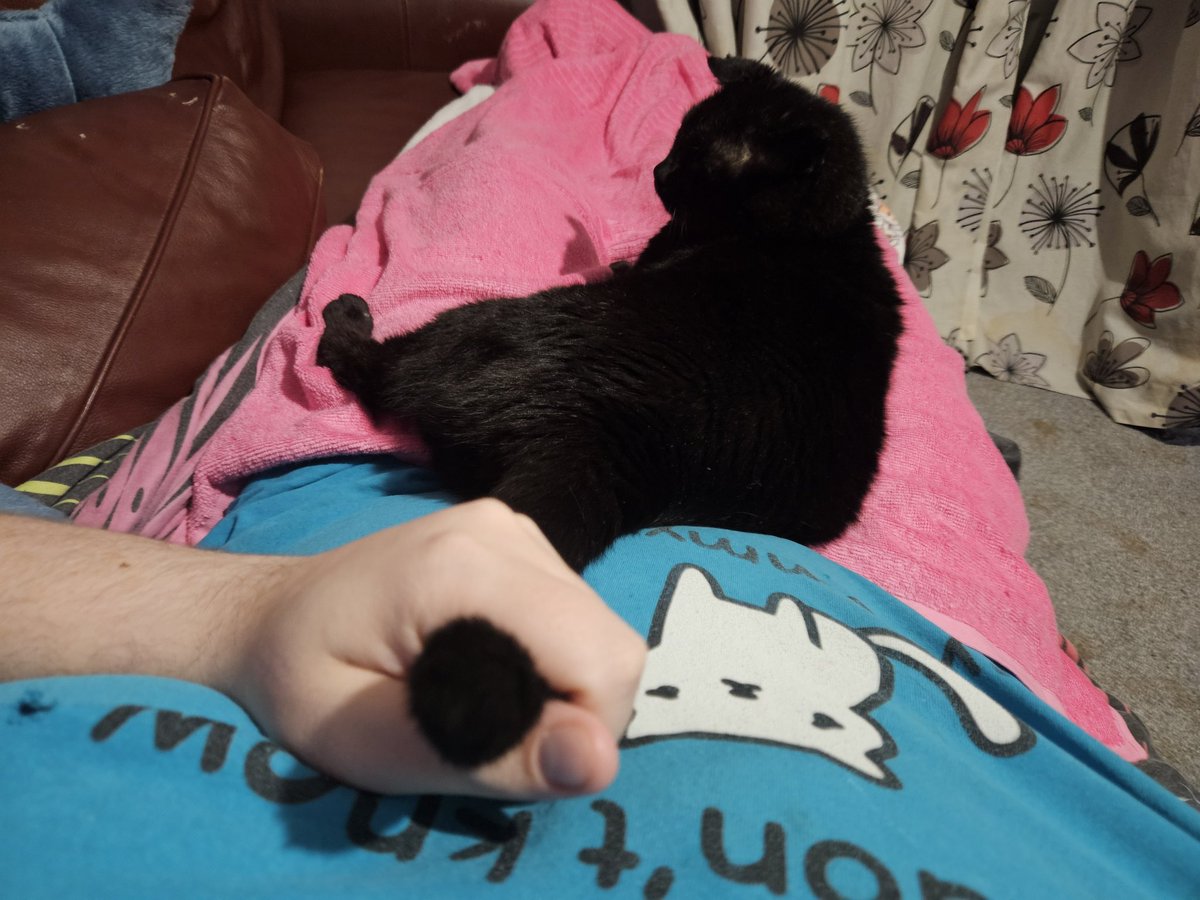 Angel Annie. tweet media