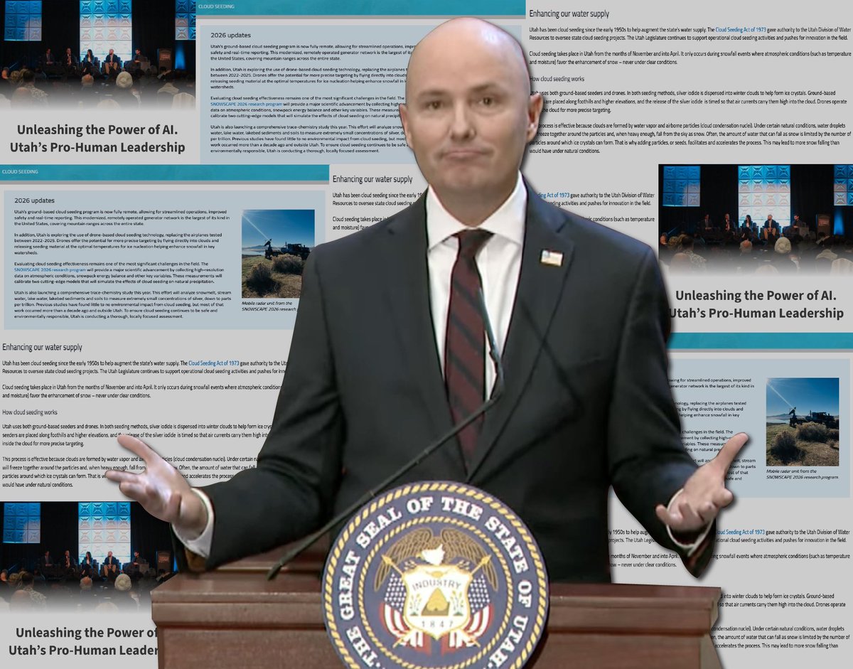 Big Rock Insights tweet media