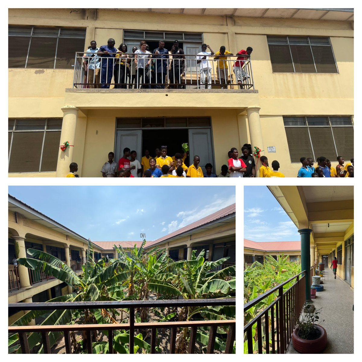 Norma Ang tweet media