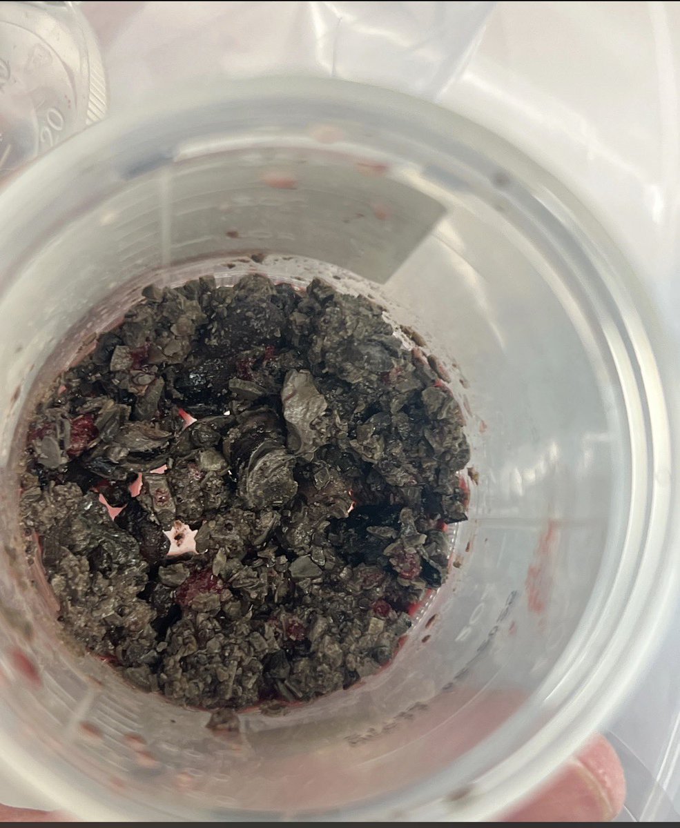 Ryan L. Steinberg MD tweet media