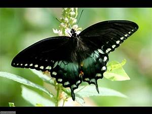 Flavio (❖,❖) tweet media