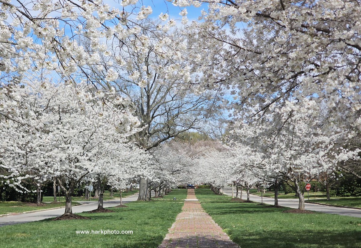 Bill Hark tweet media