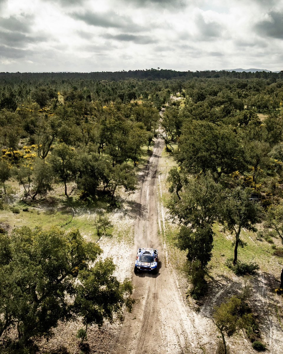 Carlos Sainz tweet media