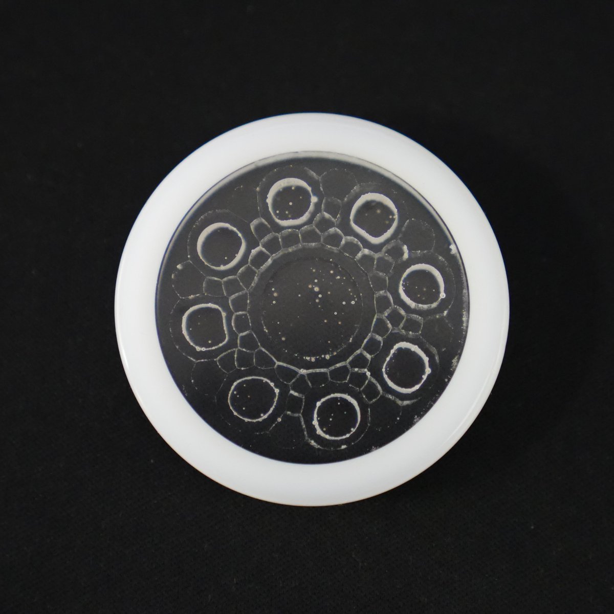 David Kirtley tweet media