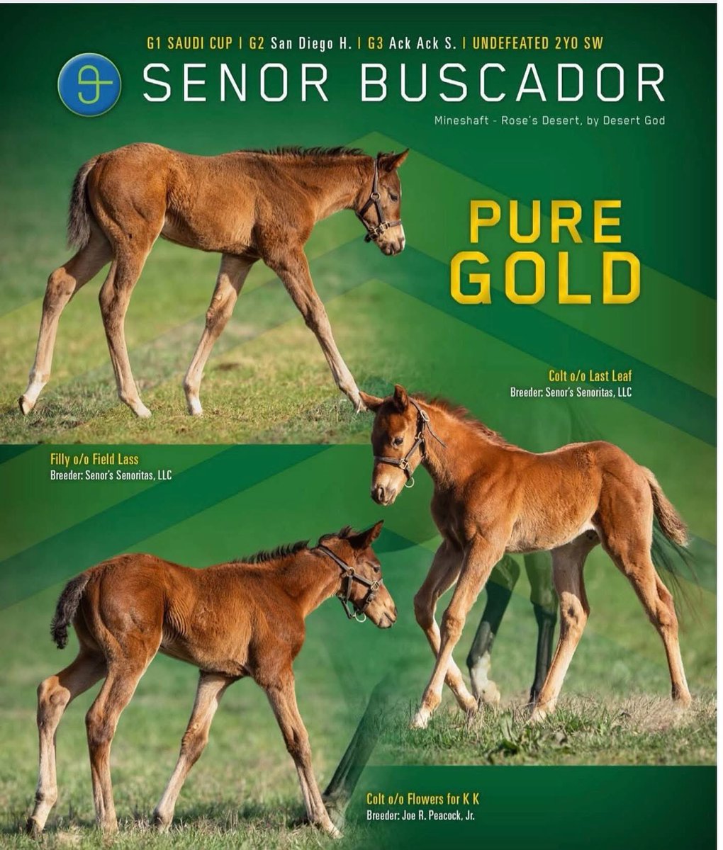 Shawhan Place tweet media