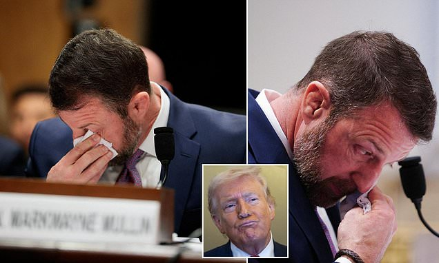 James Tate tweet media