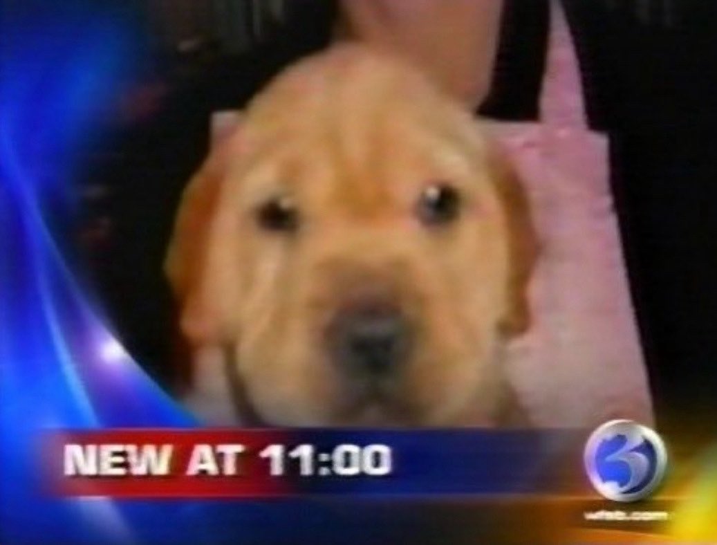 Kathleen Cahill tweet media