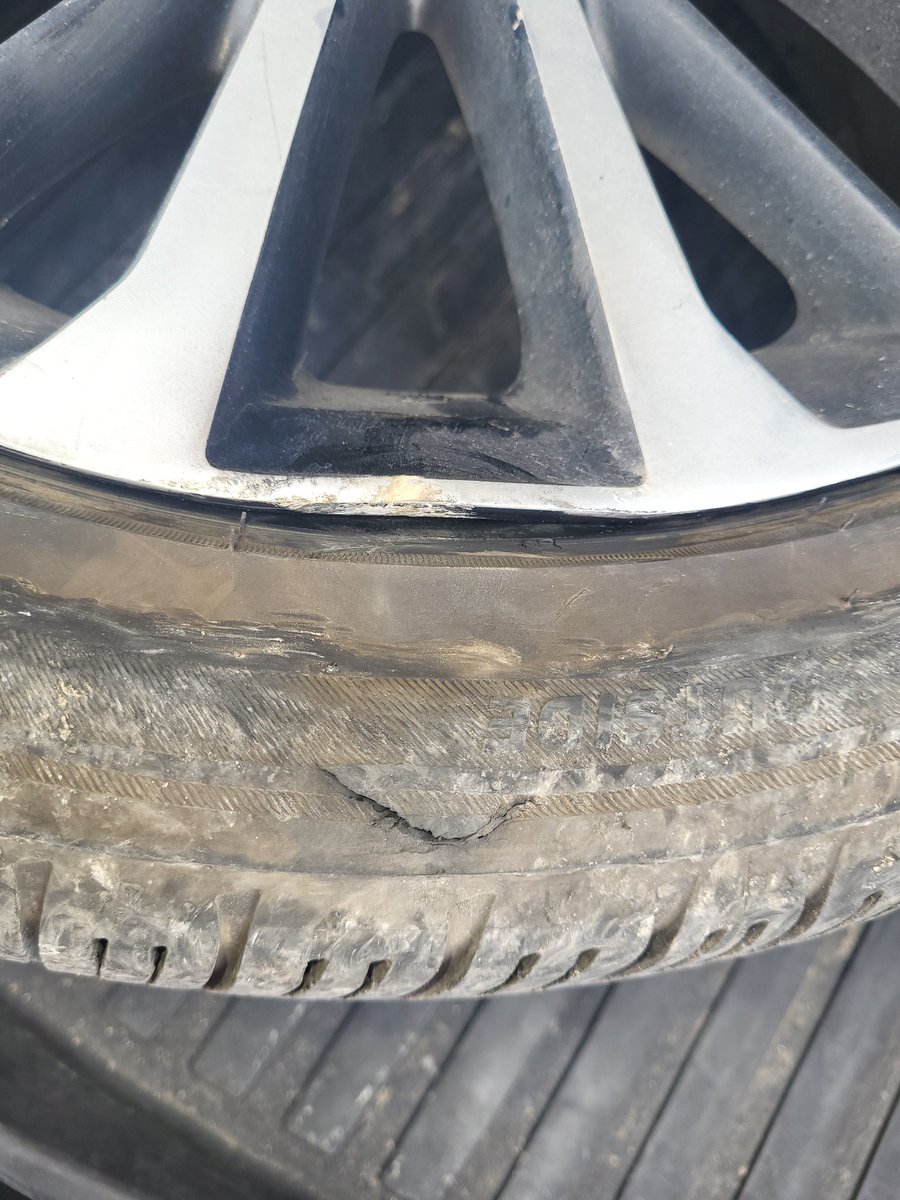 Sean Shepard tweet media