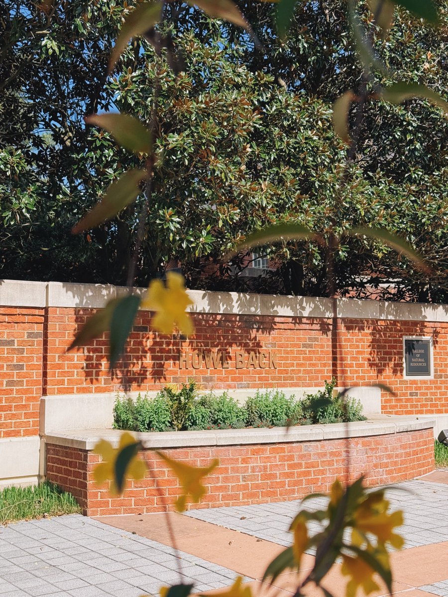 NC State University tweet media