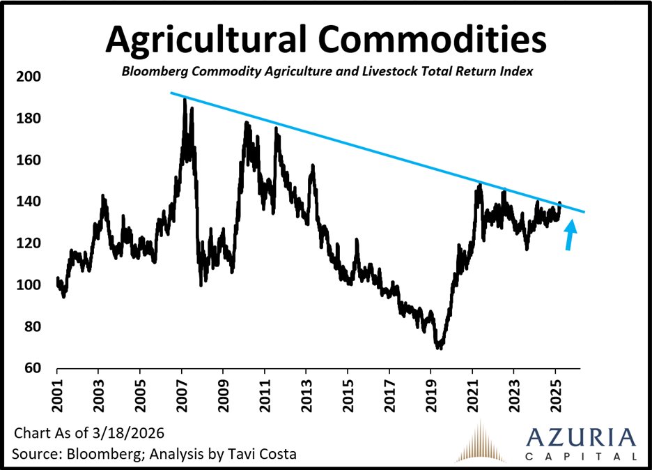 Otavio (Tavi) Costa tweet media