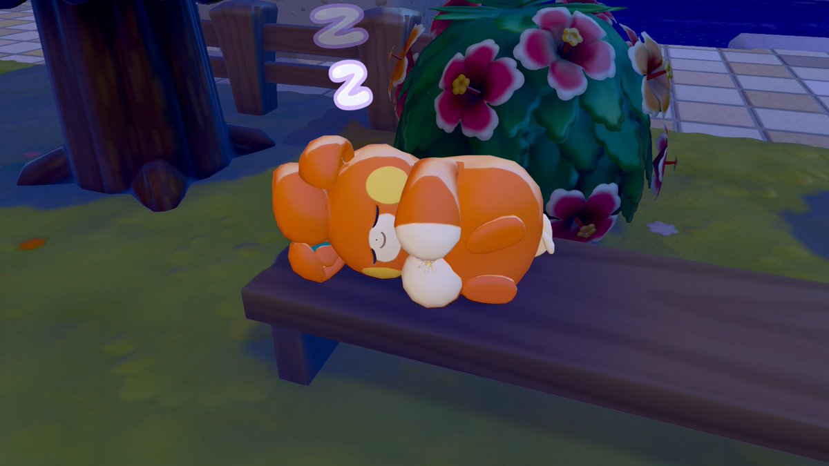 クロっちょ tweet media