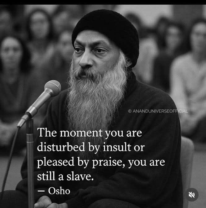 Shamz Tabrizi tweet media