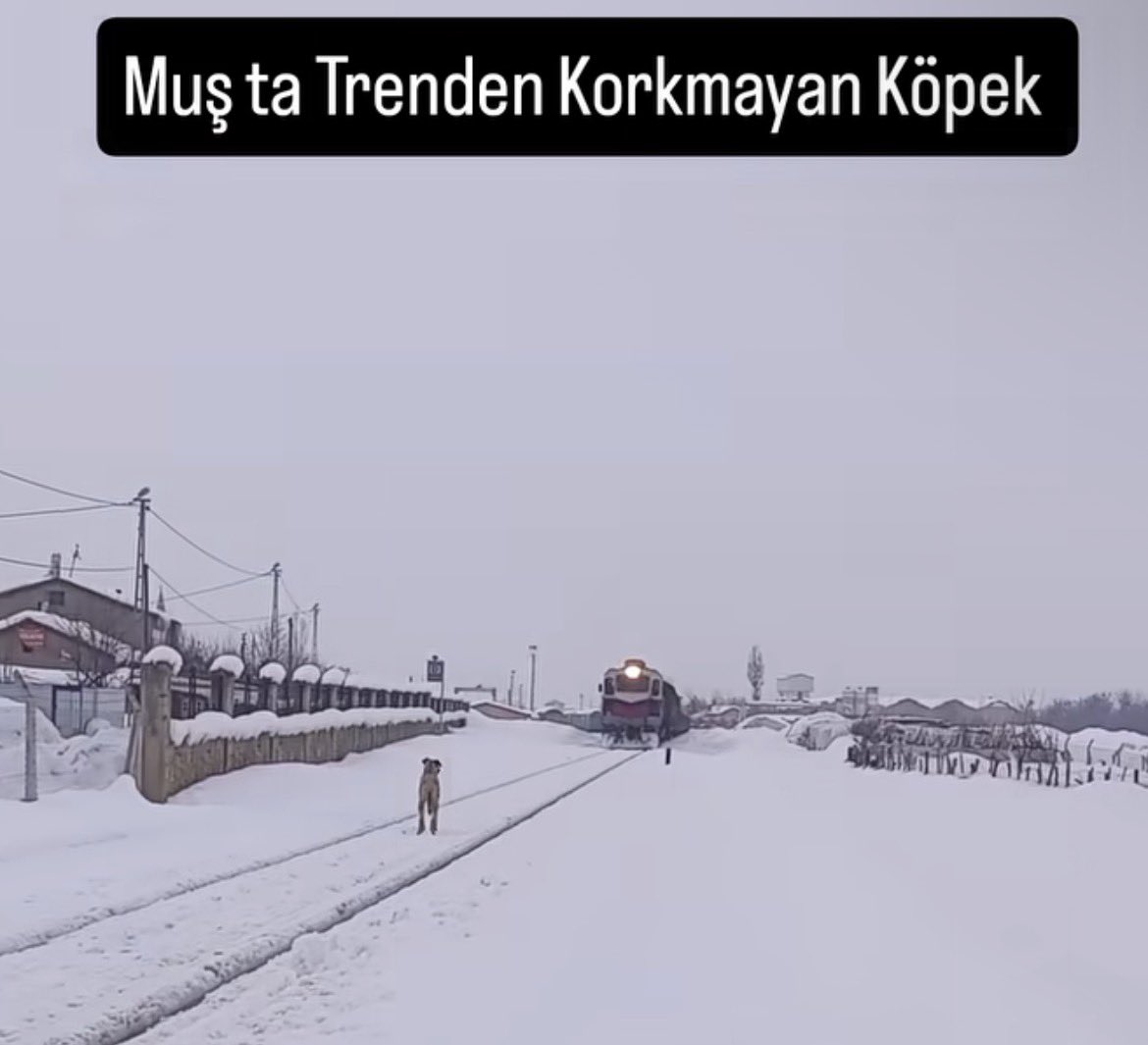 Southpaw tweet media