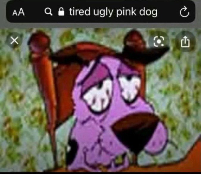 jackiee. 🥪 tweet media