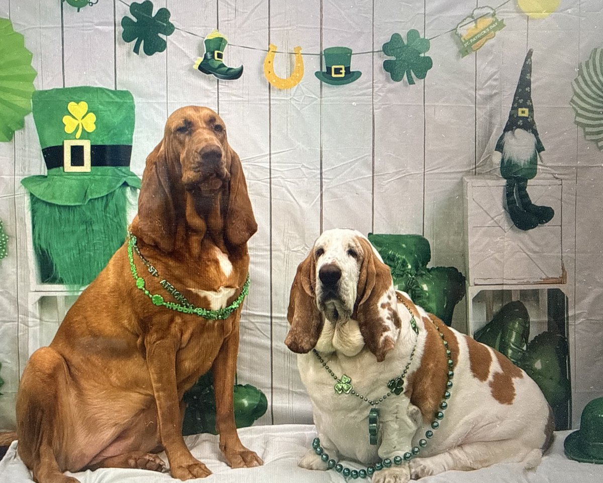 Jack Veltri tweet media