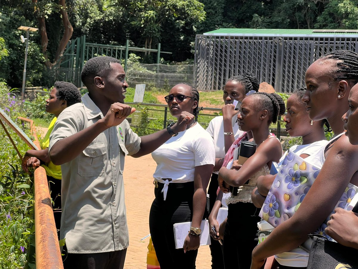 ASIIMWE NANGONGI MARY tweet media