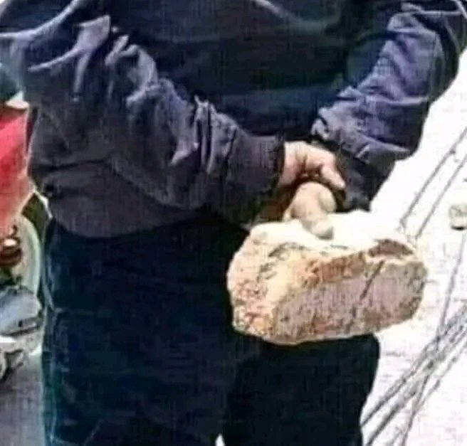 Silverback Senpai tweet media