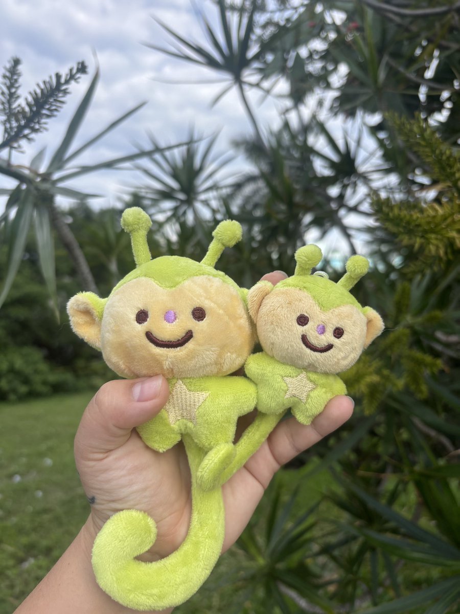 CAMI 🐿✨🌻🇵🇪 tweet media