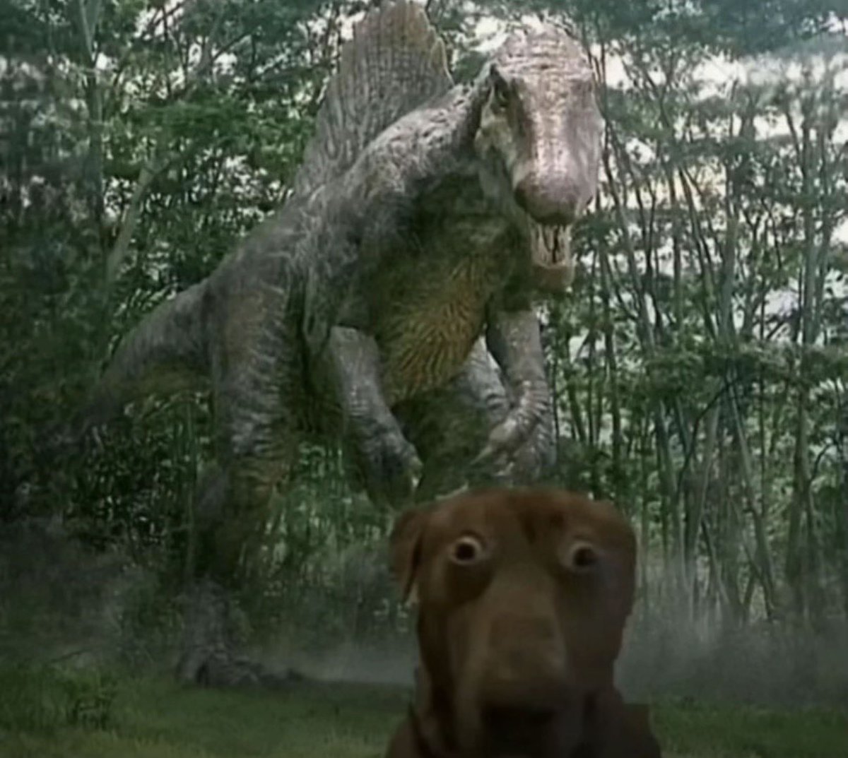 Media Bayern France tweet media