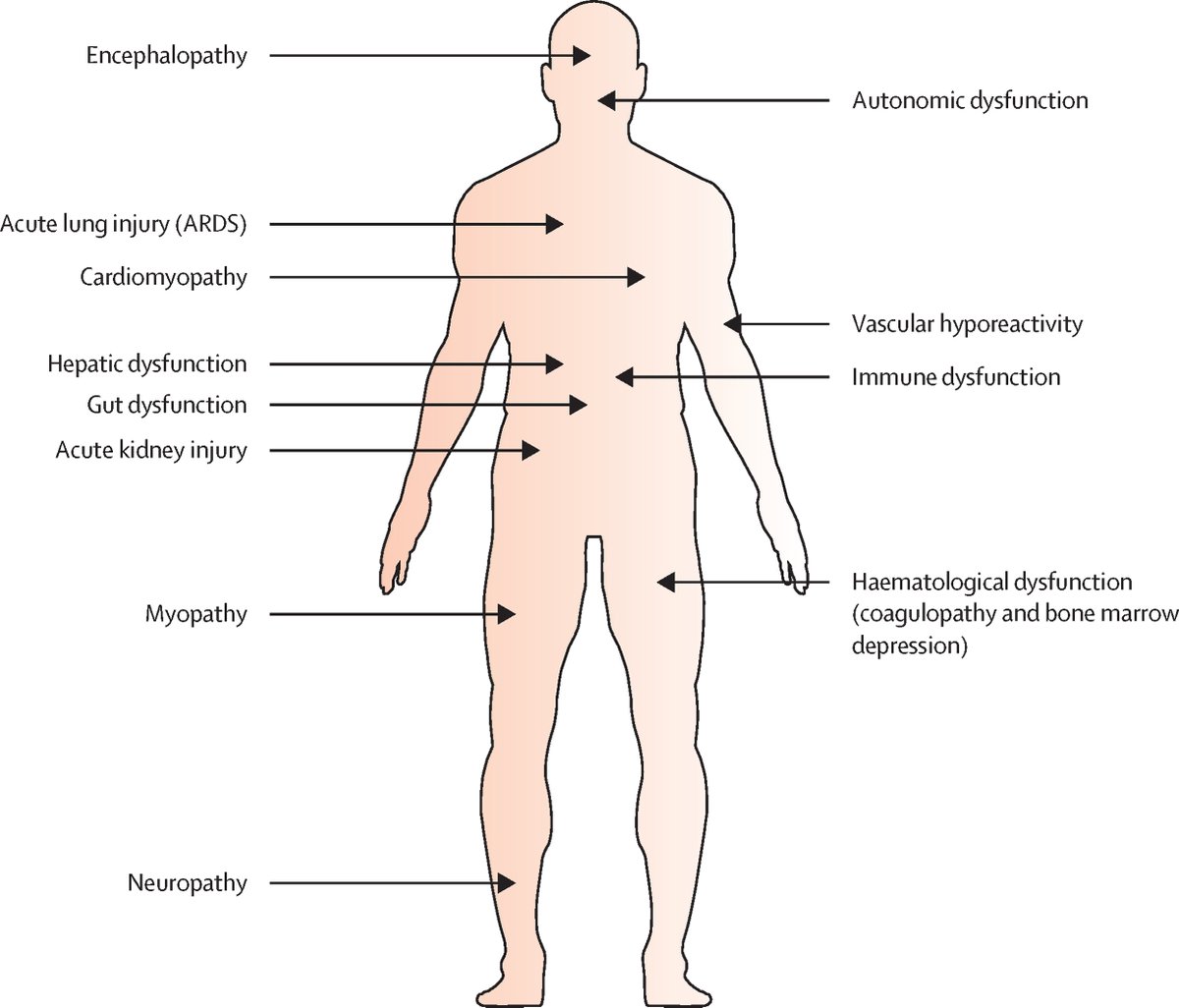 The Lancet tweet media