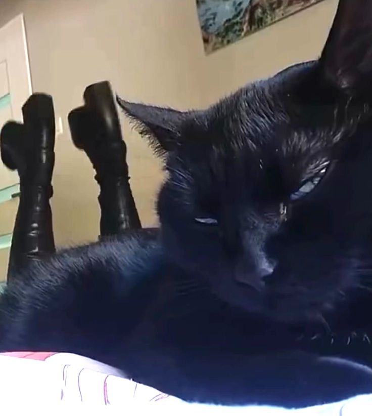 ˙⋆florence tweet media