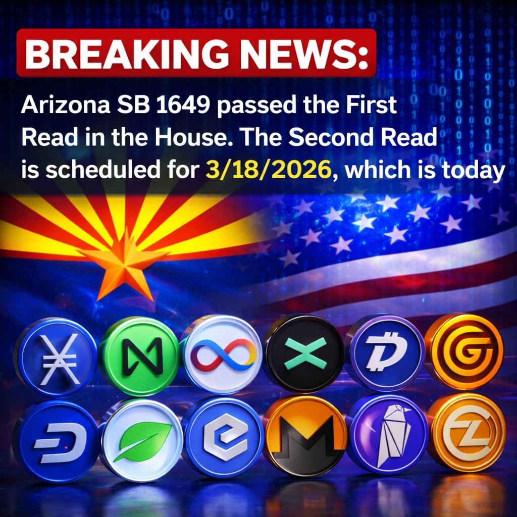 Whale | Decentra👀 tweet media