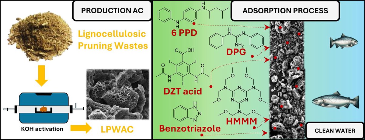 Sección Territorial de Asturias-RSEQ tweet media