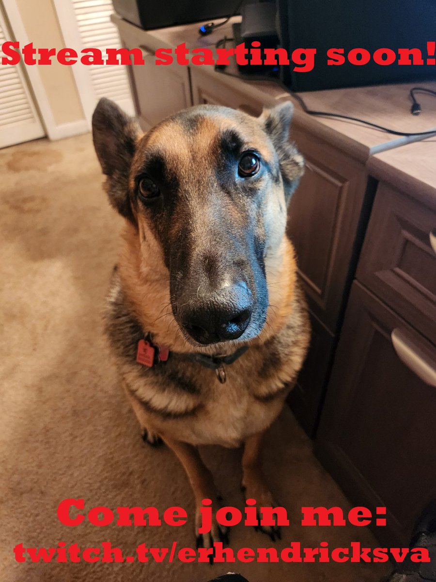 Join us, won't you, as the dogs and I keep exploring Castlevania: Symphony of the Night.

twitch.tv/erhendricksva