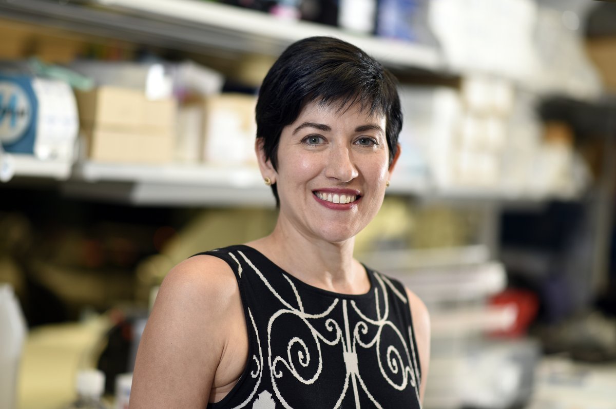 Aflac Cancer and Blood Disorders Center tweet media