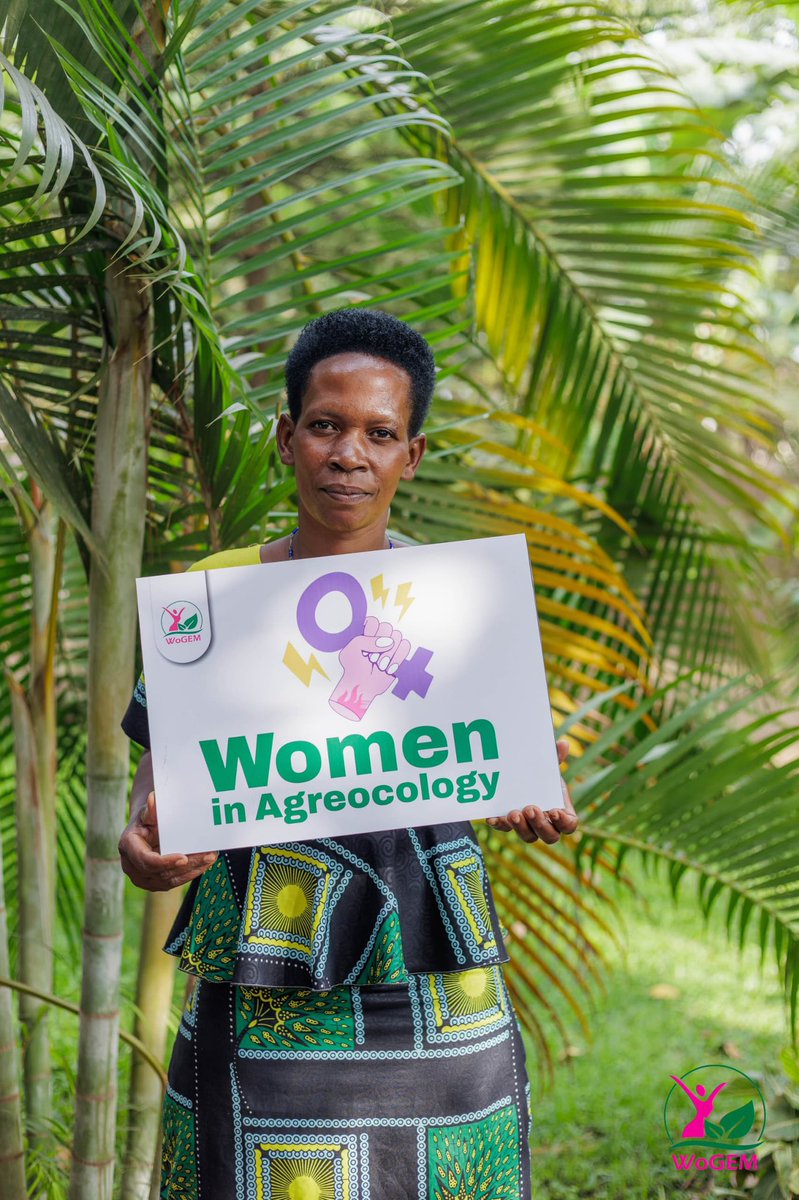 WogemU's tweet photo. Last Friday,we  successfully hosted a powerful workshop on Strengthening Marginalized Women to Advocate for #Agreocology and #JustEnergyTransition at the National Level.#MarginalizedWomen share their lived experiences on how they conserve and protect their indigenous seeds . https://t.co/GHqQiOnU22