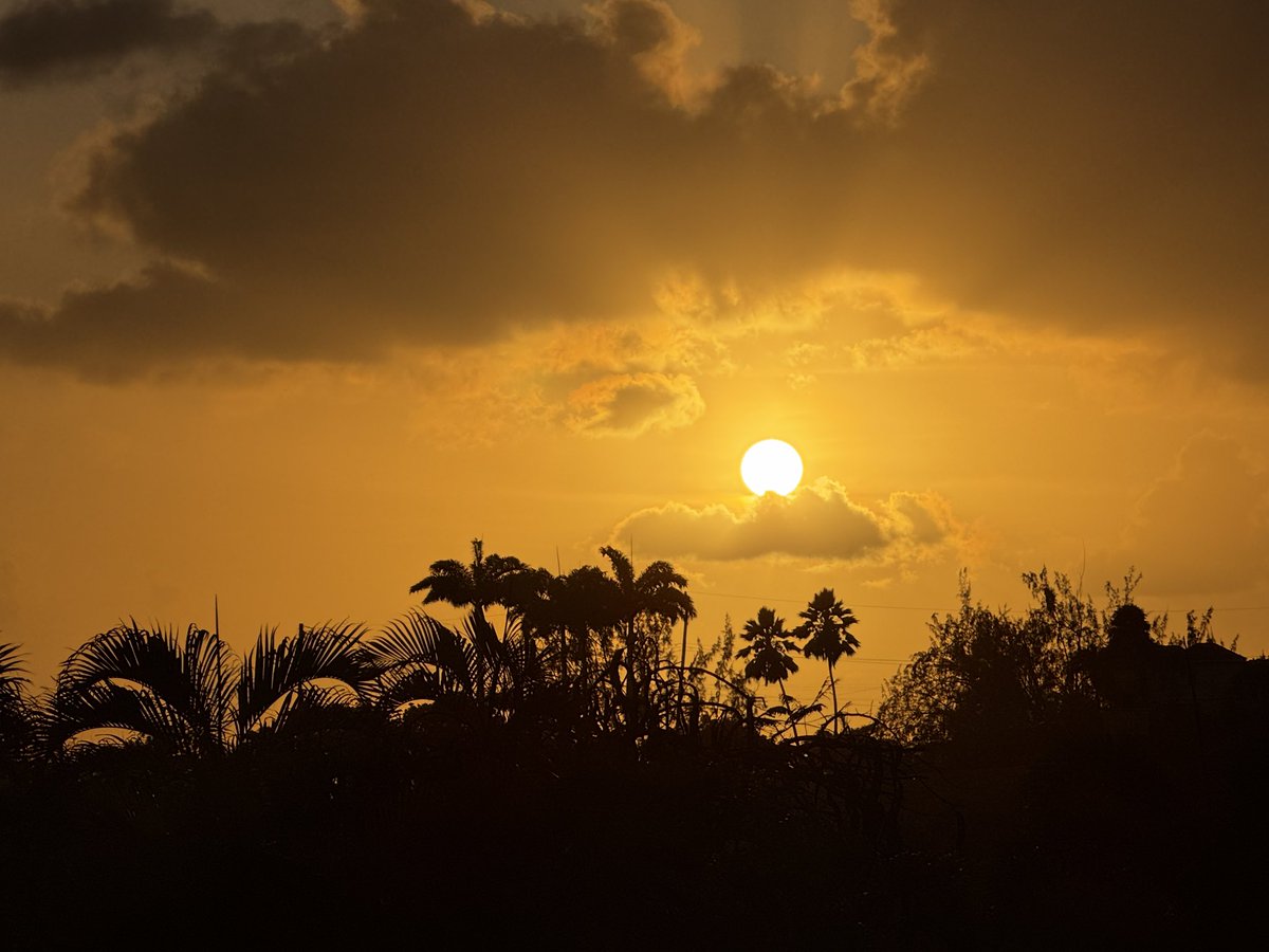 Paul Arthurs. tweet media