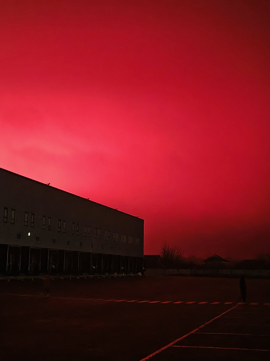 Mafia_Girl tweet media