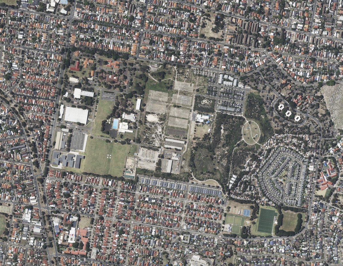 Philip Thalis tweet media