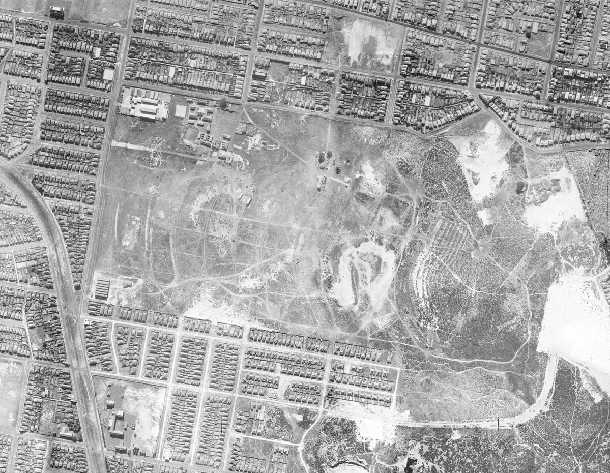 Philip Thalis tweet media