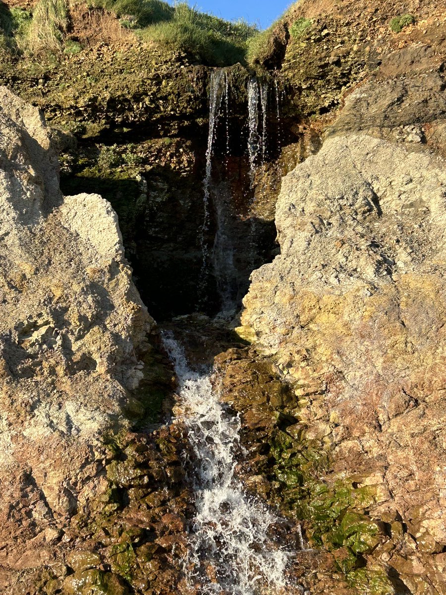 wightowl's tweet photo. Churchill Chine, Brook. Photos taken this afternoon. #isleofwight https://t.co/oQykBq7wql