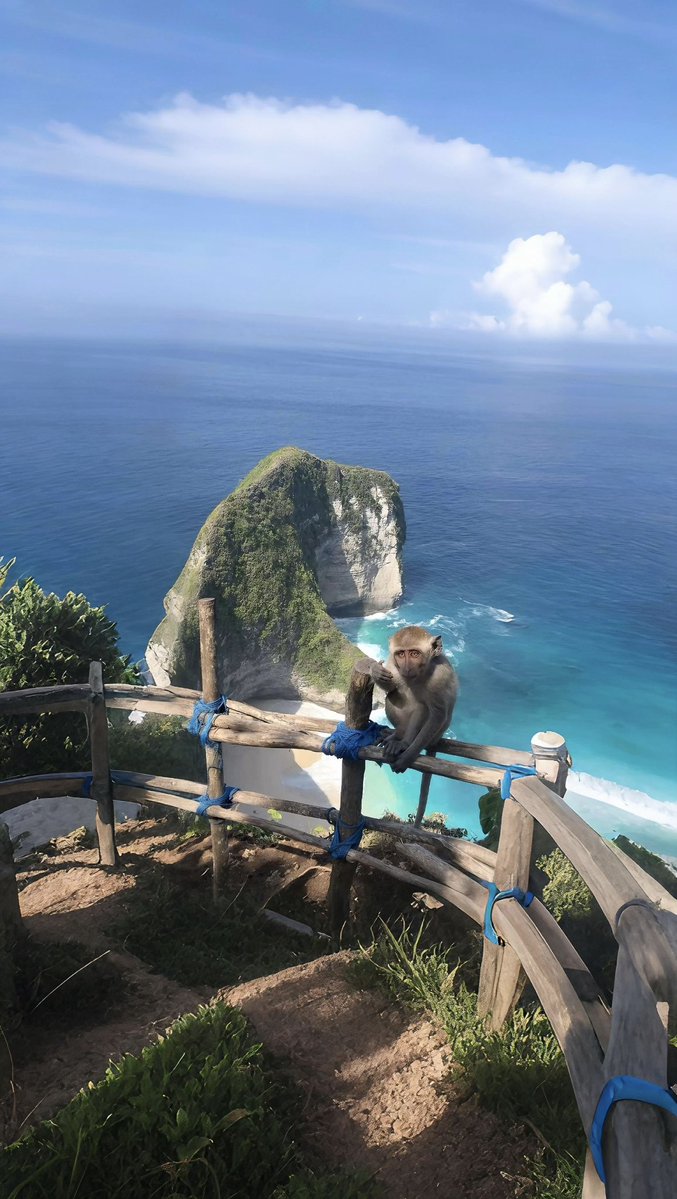 Noorie lova tweet media