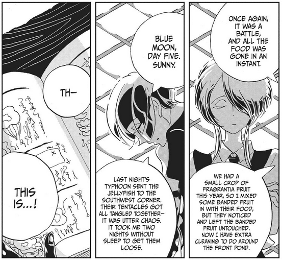 Samsara no Kuni tweet media