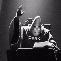 GodKoala tweet media