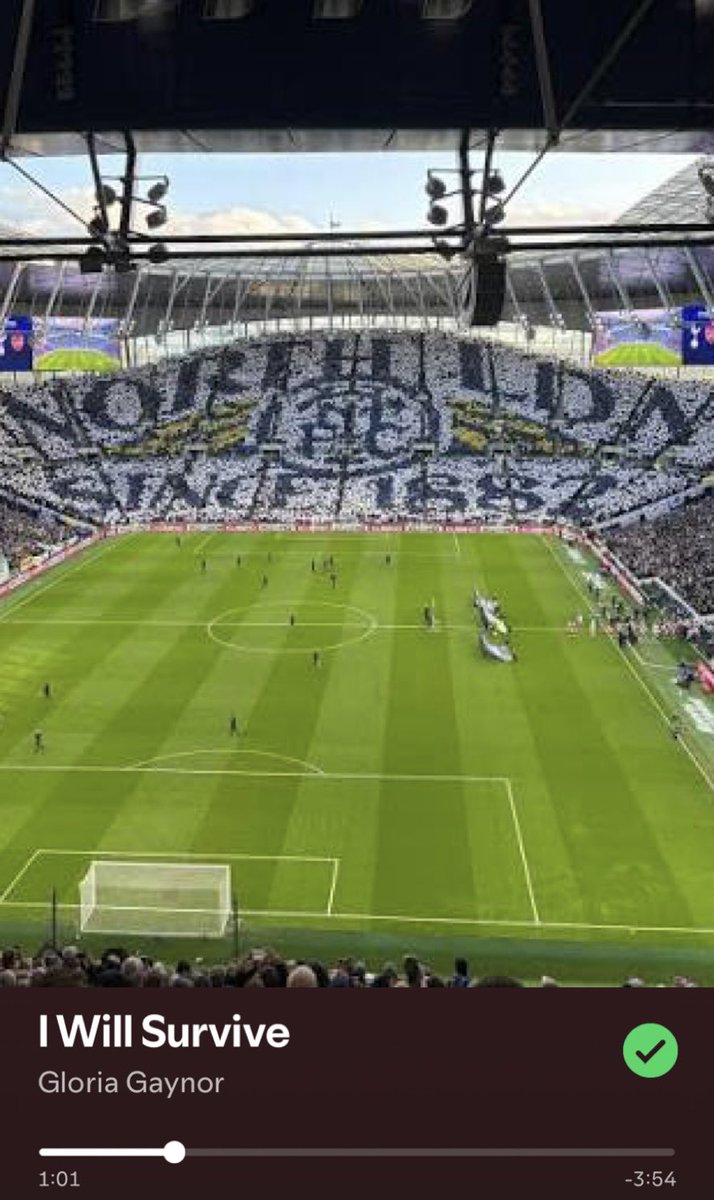 Tottenhampodden tweet media