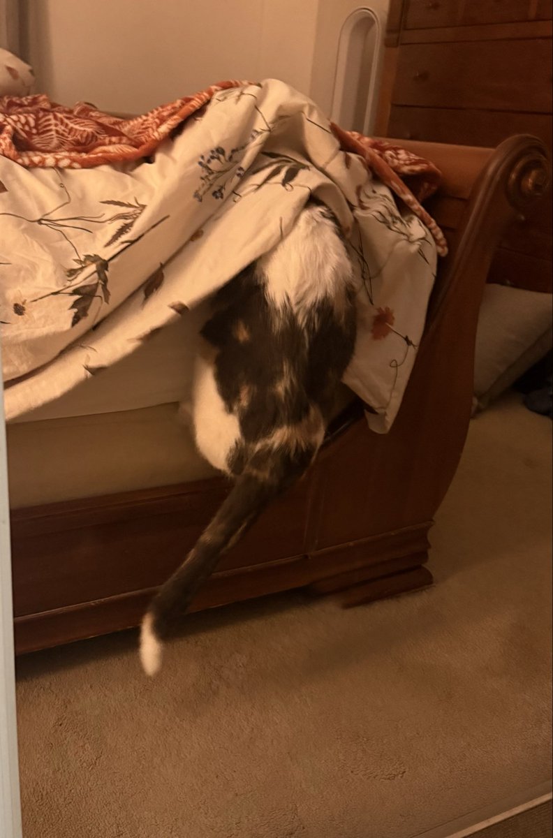 SatontheBeach 🌊 📚🌻🎸❤️ tweet media