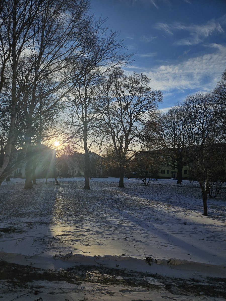 Just Lena tweet media