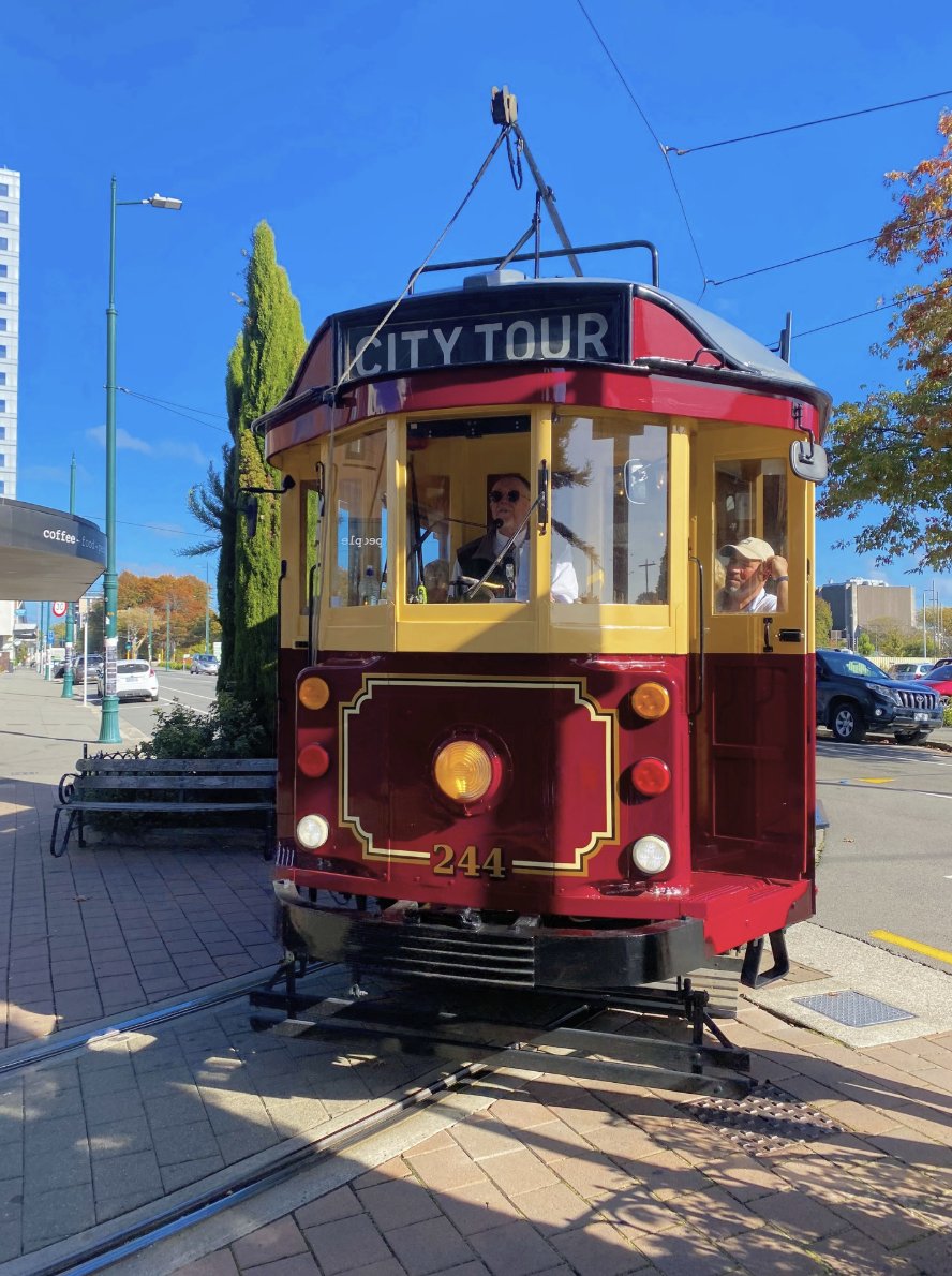 New Zealand Pain Society tweet media