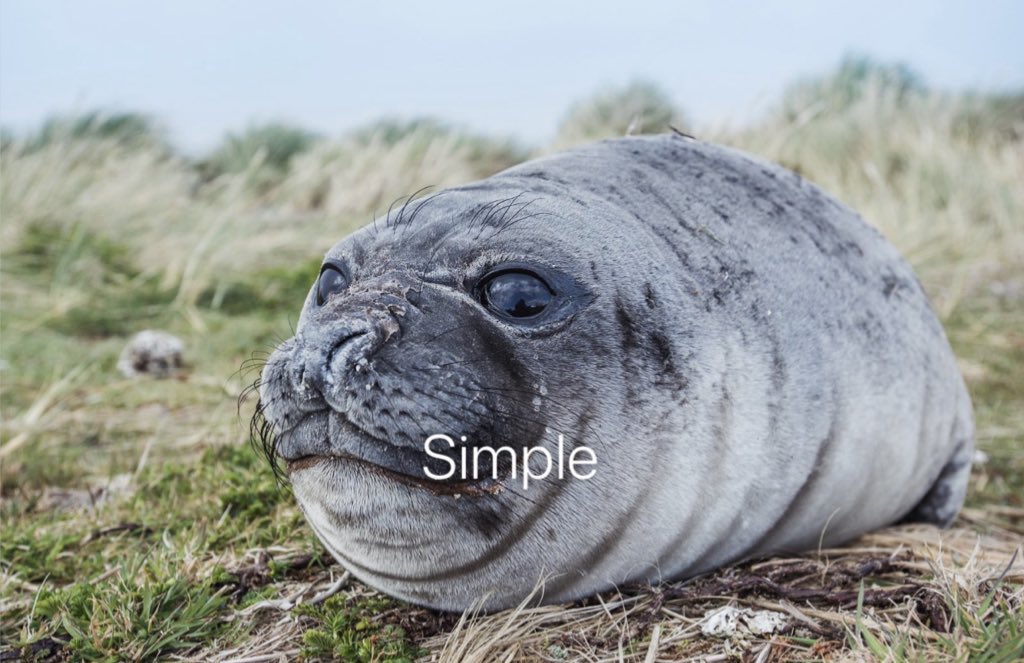 Nerpa Mindset tweet media