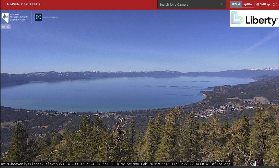 Kellene Stockwell tweet media