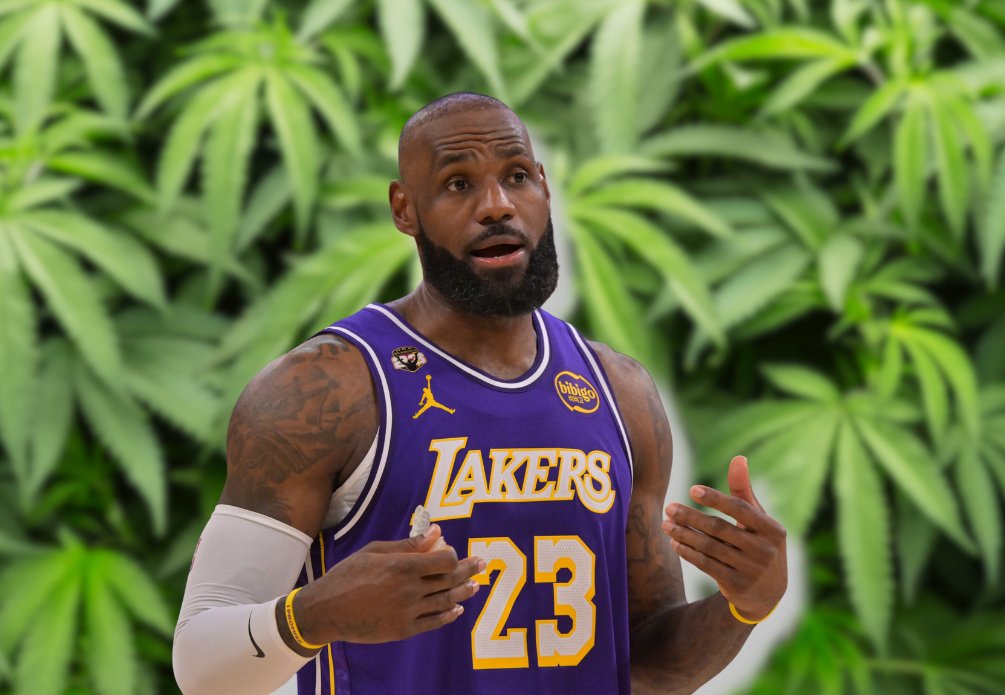 The Comeback tweet media